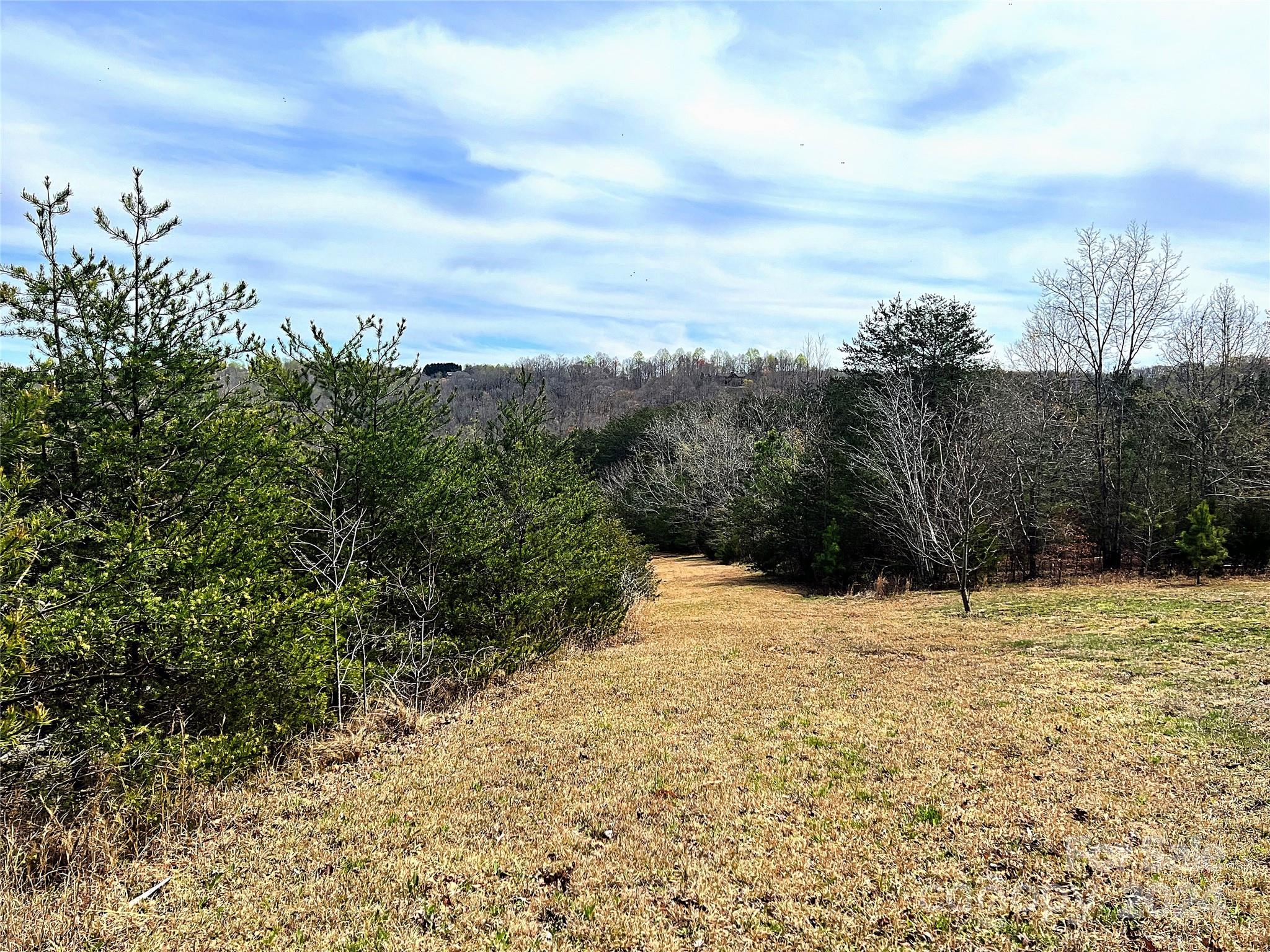 V/l Hickory Loop Road, Unit 5 Rutherfordton, NC 28139 - Photo 11 of 34 a view of a yard with trees