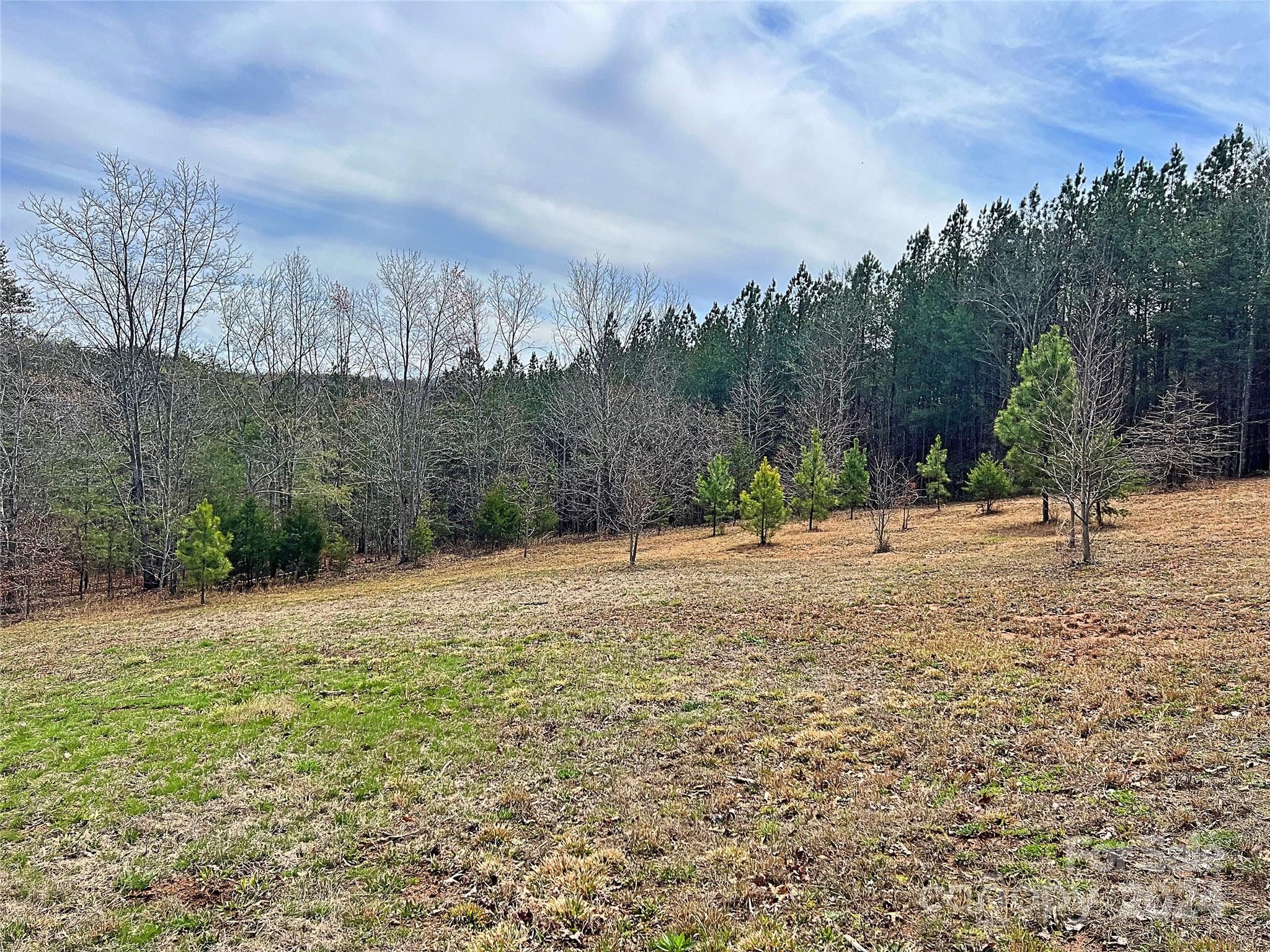 V/l Hickory Loop Road, Unit 5 Rutherfordton, NC 28139 - Photo 12 of 34 a view of a backyard of the house