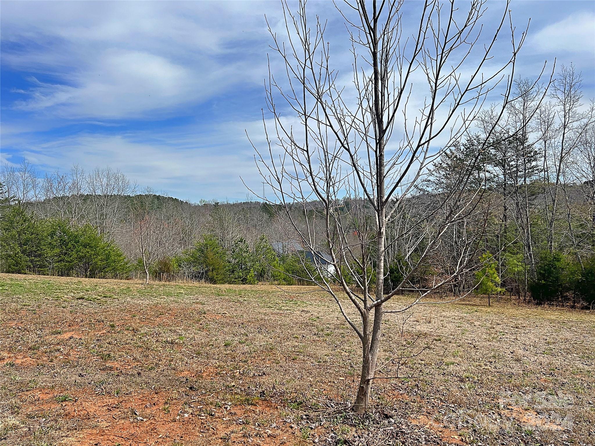 V/l Hickory Loop Road, Unit 5 Rutherfordton, NC 28139 - Photo 13 of 34 a view of a yard with a tree
