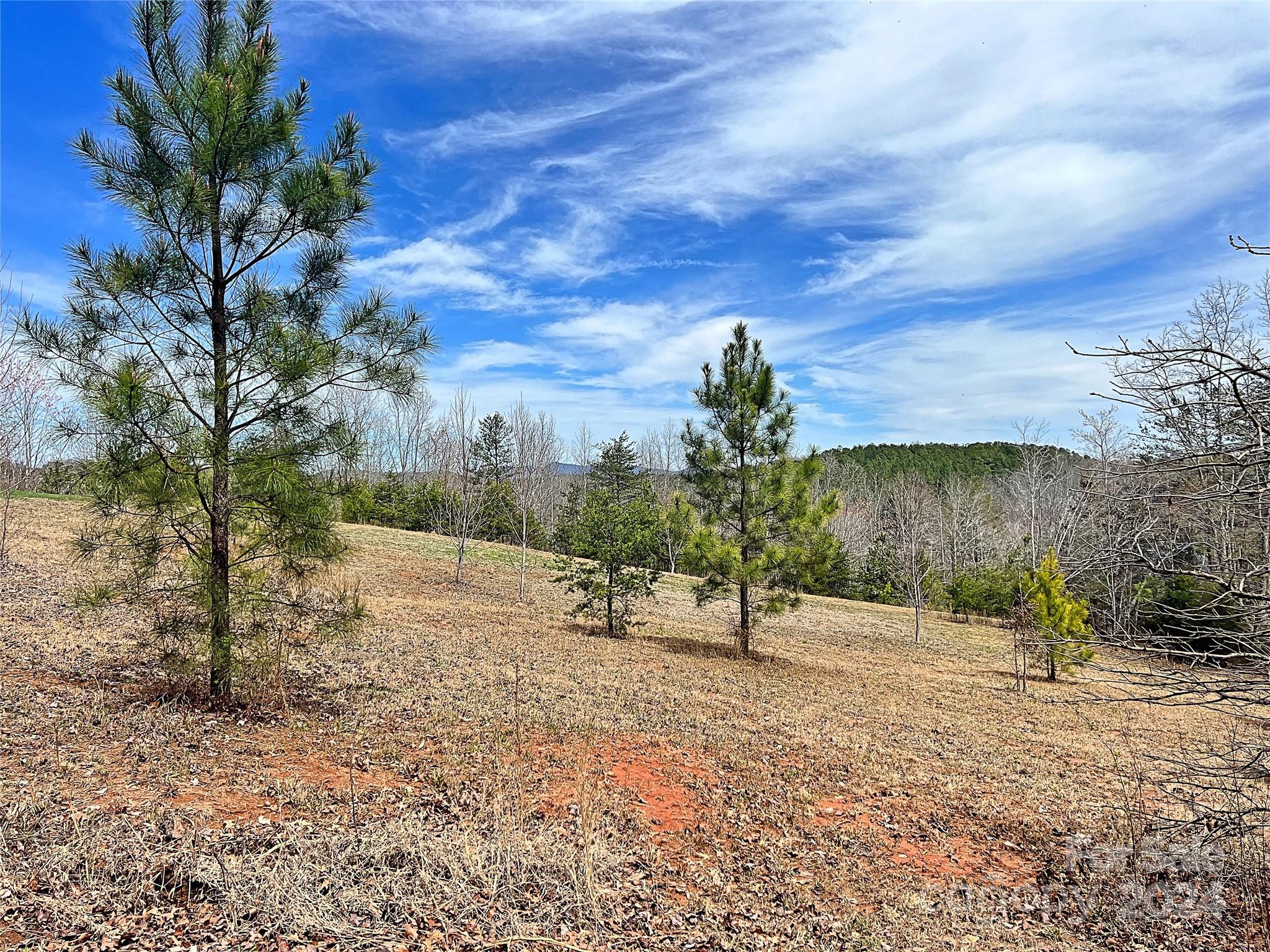 V/l Hickory Loop Road, Unit 5 Rutherfordton, NC 28139 - Photo 14 of 34 a view of a lake with a yard