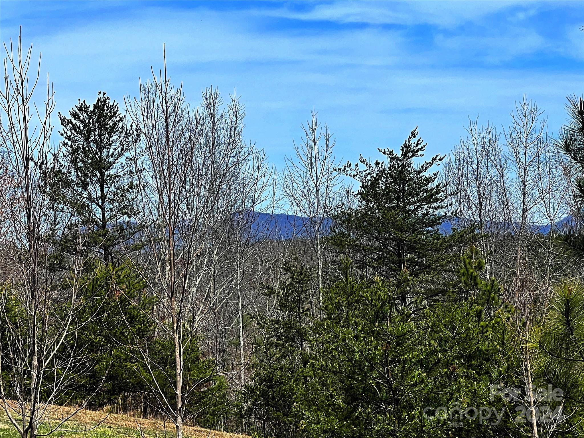 V/l Hickory Loop Road, Unit 5 Rutherfordton, NC 28139 - Photo 15 of 34 a view of a city