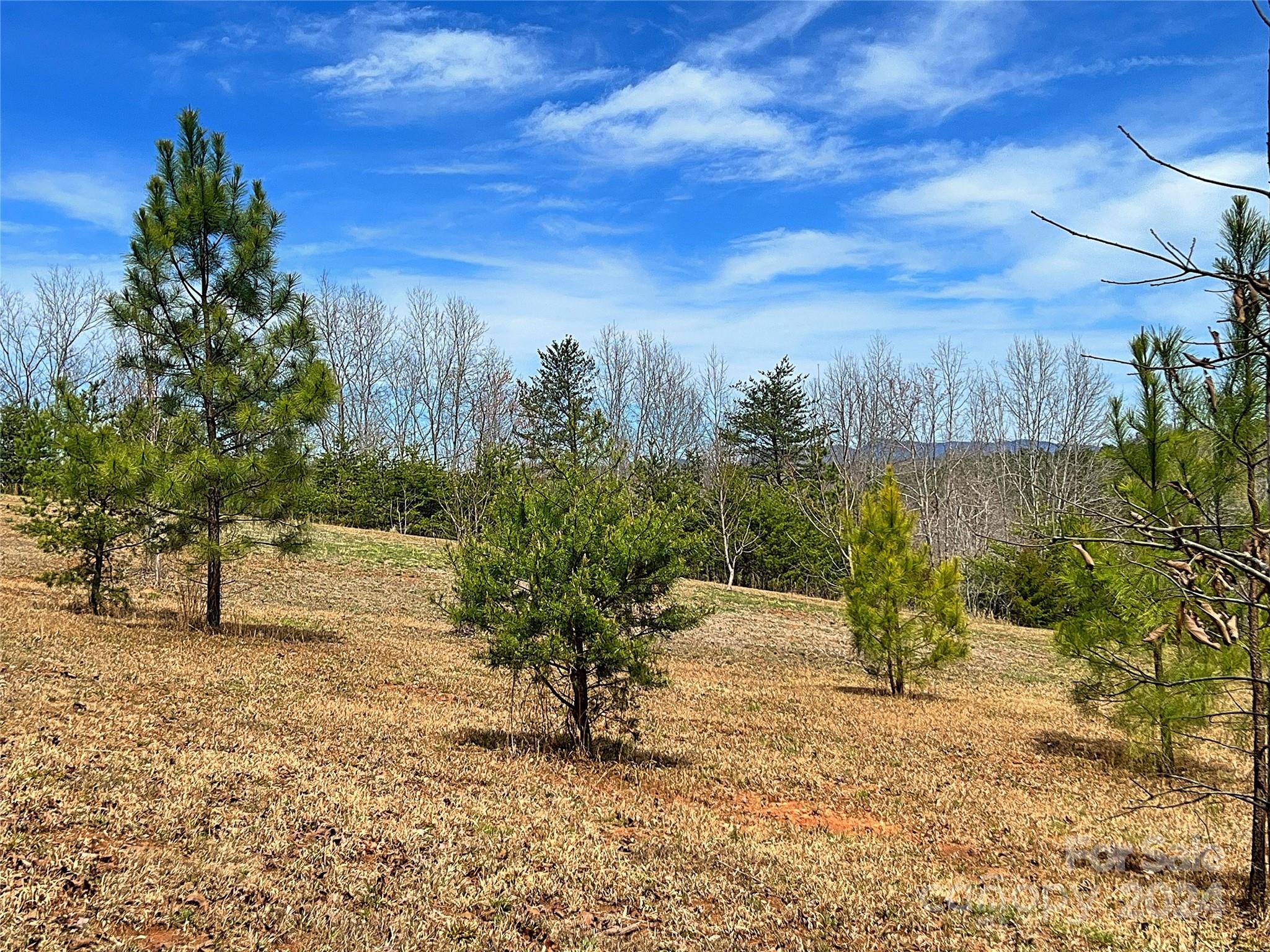 V/l Hickory Loop Road, Unit 5 Rutherfordton, NC 28139 - Photo 16 of 34 a view of a yard with wooden fence