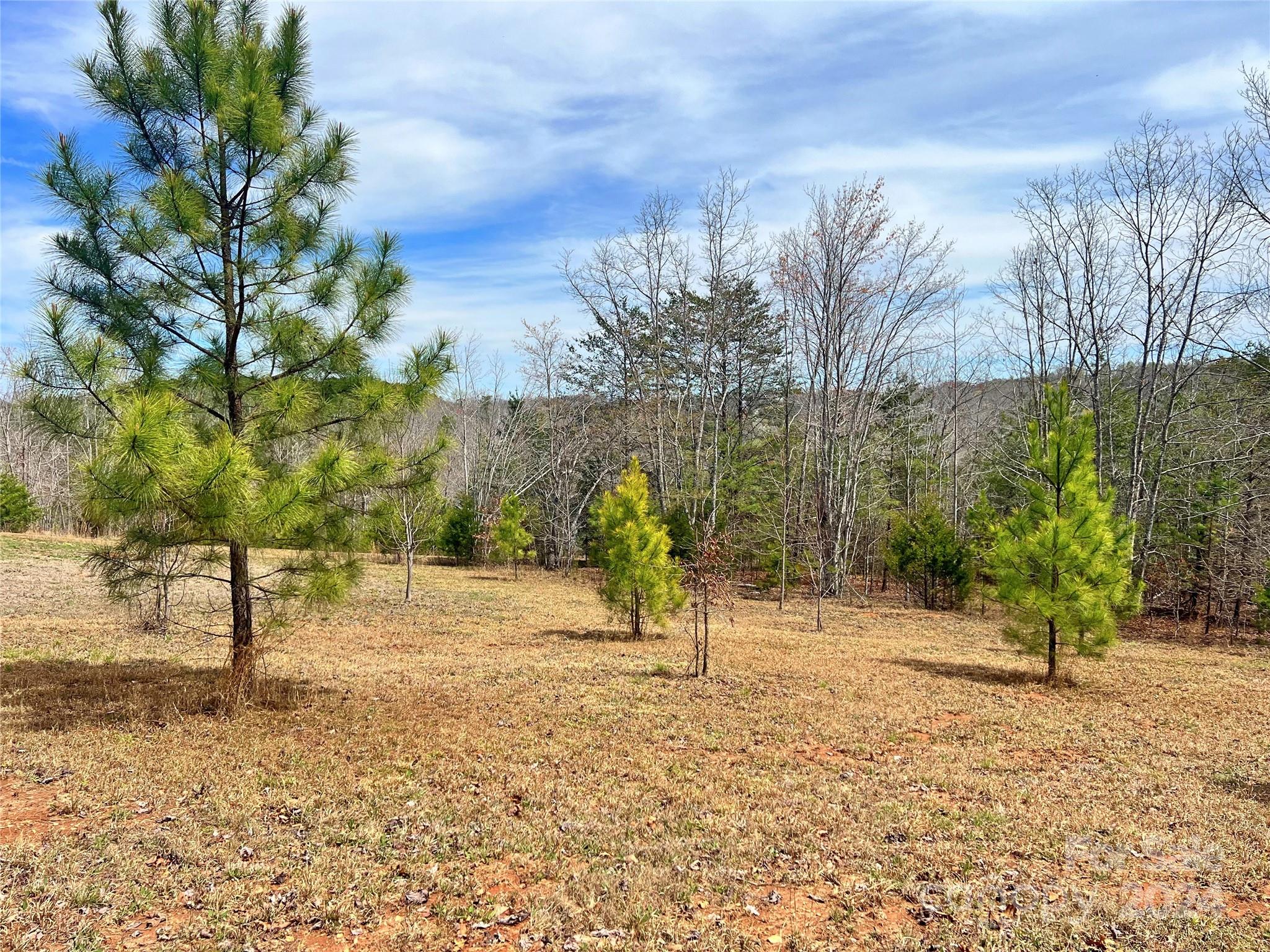 V/l Hickory Loop Road, Unit 5 Rutherfordton, NC 28139 - Photo 18 of 34 a view of outdoor space with trees