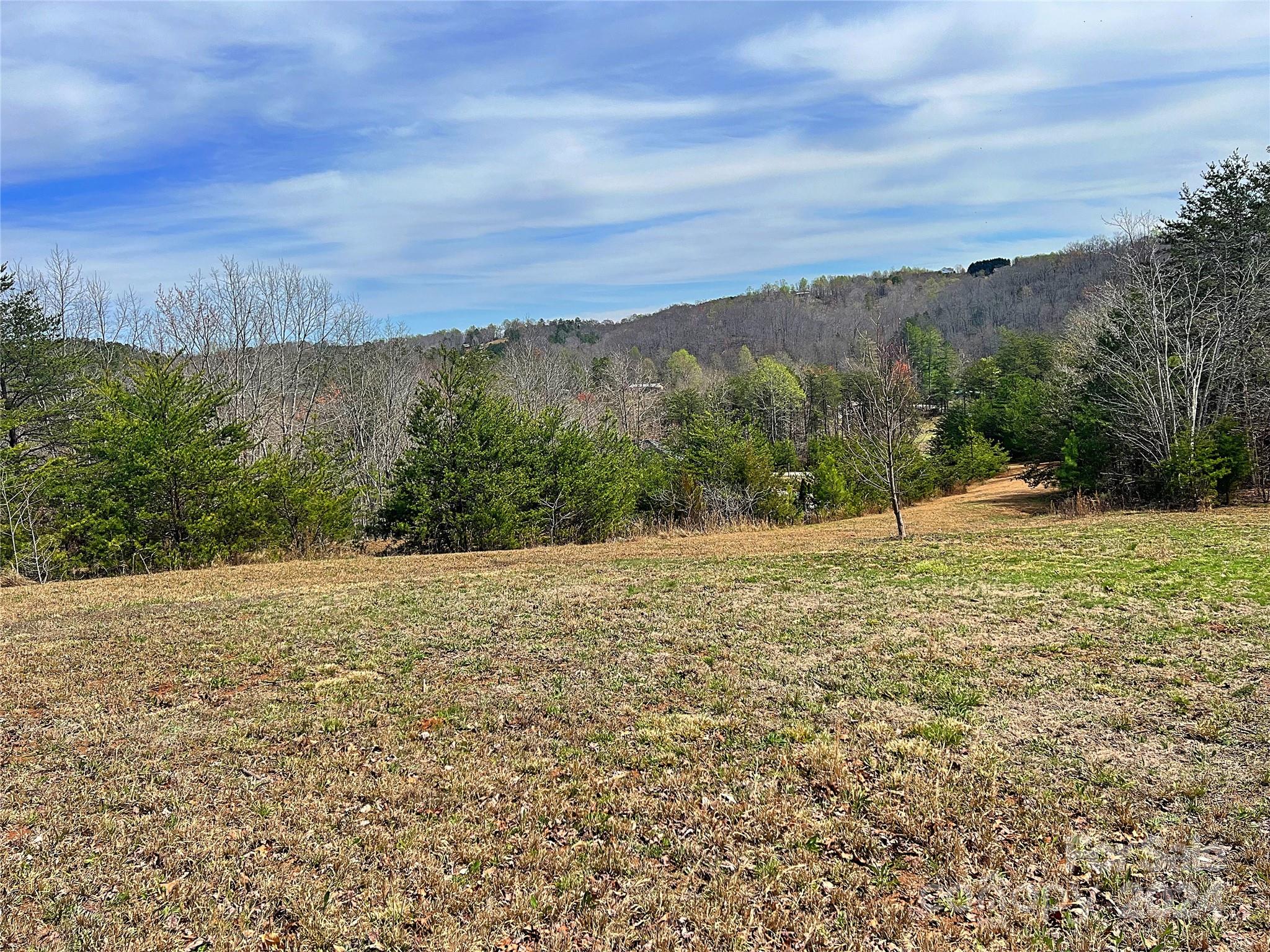 V/l Hickory Loop Road, Unit 5 Rutherfordton, NC 28139 - Photo 21 of 34 a view of a field with an ocean