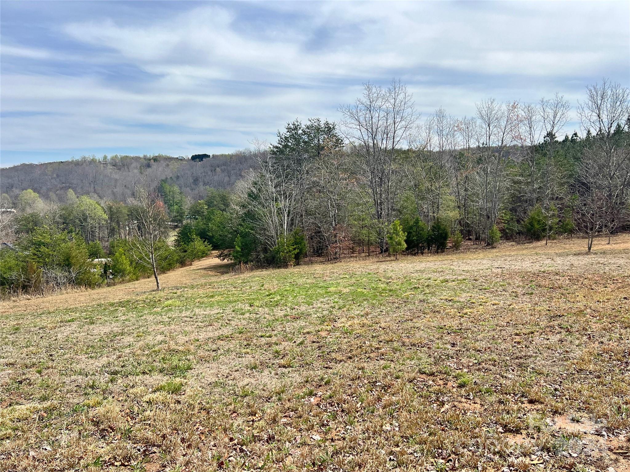 V/l Hickory Loop Road, Unit 5 Rutherfordton, NC 28139 - Photo 22 of 34 a view of a yard with an trees