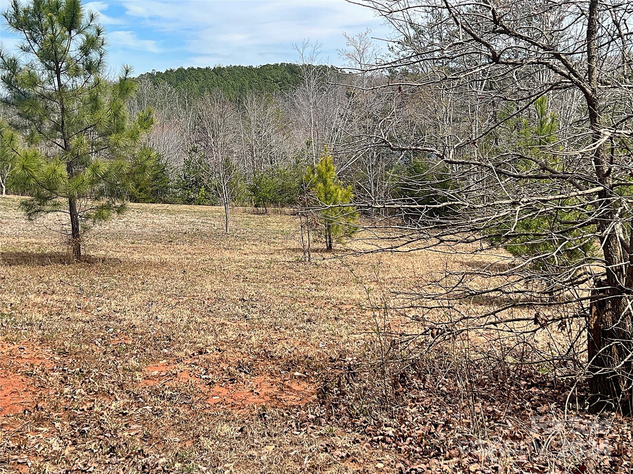 V/l Hickory Loop Road, Unit 5 Rutherfordton, NC 28139 - Photo 23 of 34 a view of garden