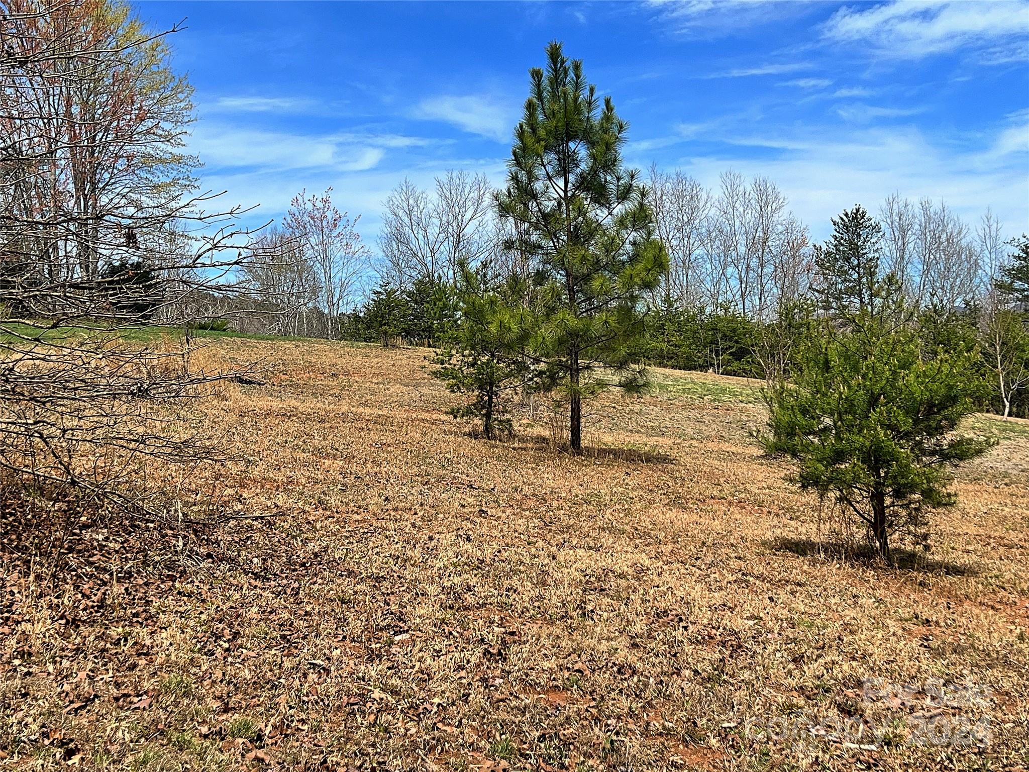 V/l Hickory Loop Road, Unit 5 Rutherfordton, NC 28139 - Photo 24 of 34 a view of a yard with a tree