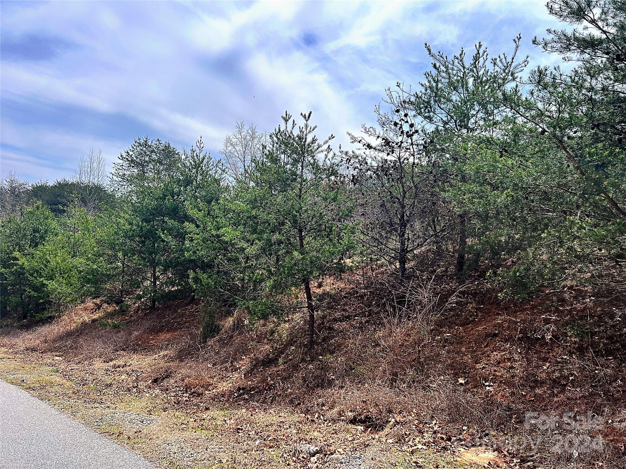 V/l Hickory Loop Road, Unit 5 Rutherfordton, NC 28139 - Photo 25 of 34 a view of a forest with a tree in the background