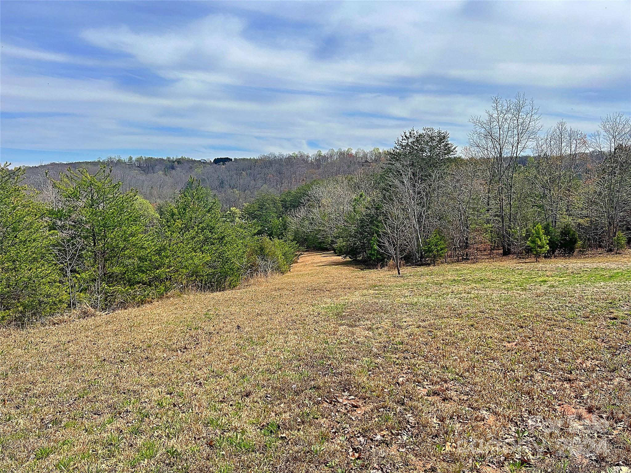 V/l Hickory Loop Road, Unit 5 Rutherfordton, NC 28139 - Photo 27 of 34 a view of a yard with an trees