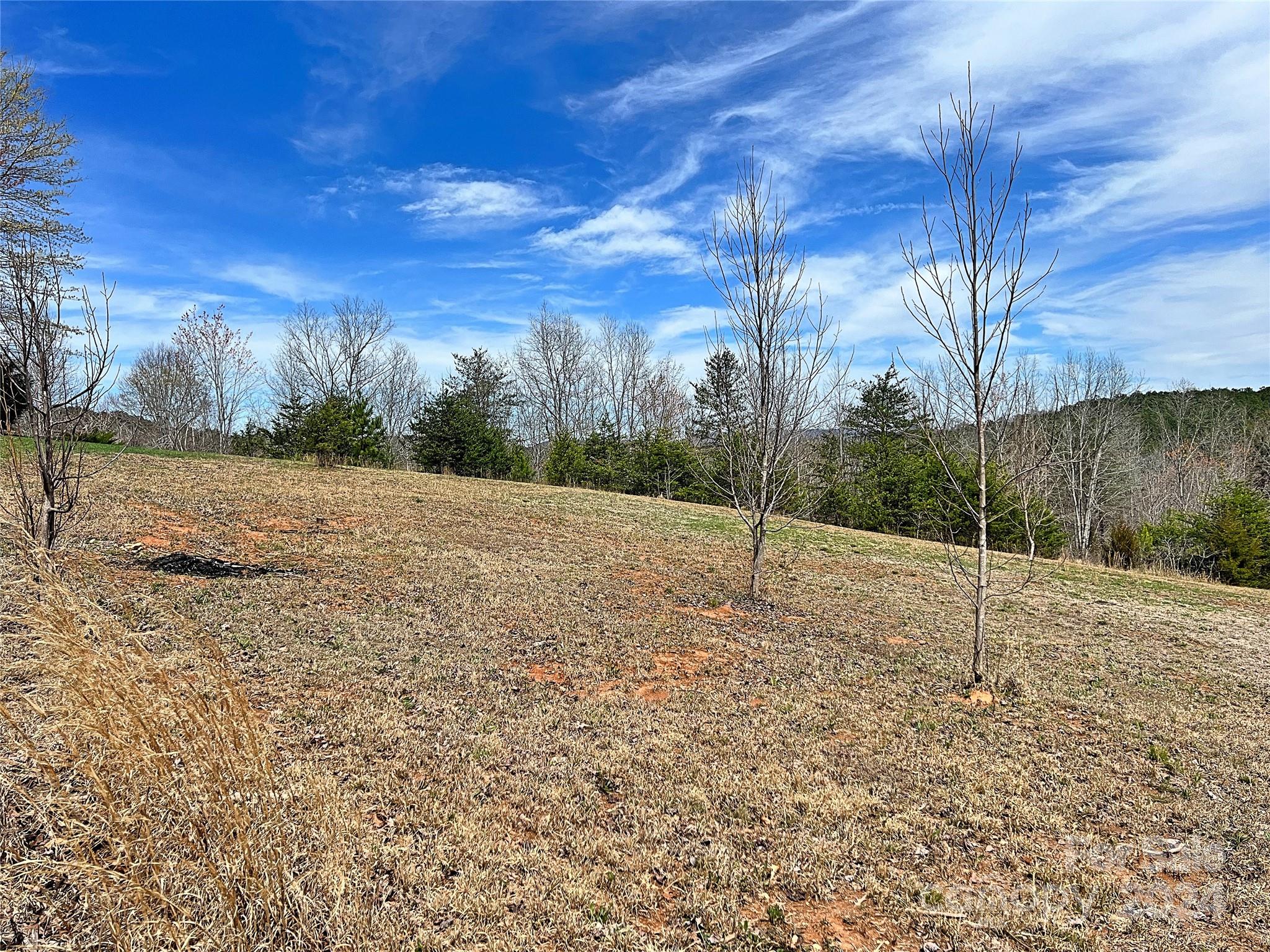 V/l Hickory Loop Road, Unit 5 Rutherfordton, NC 28139 - Photo 28 of 34 a view of a backyard