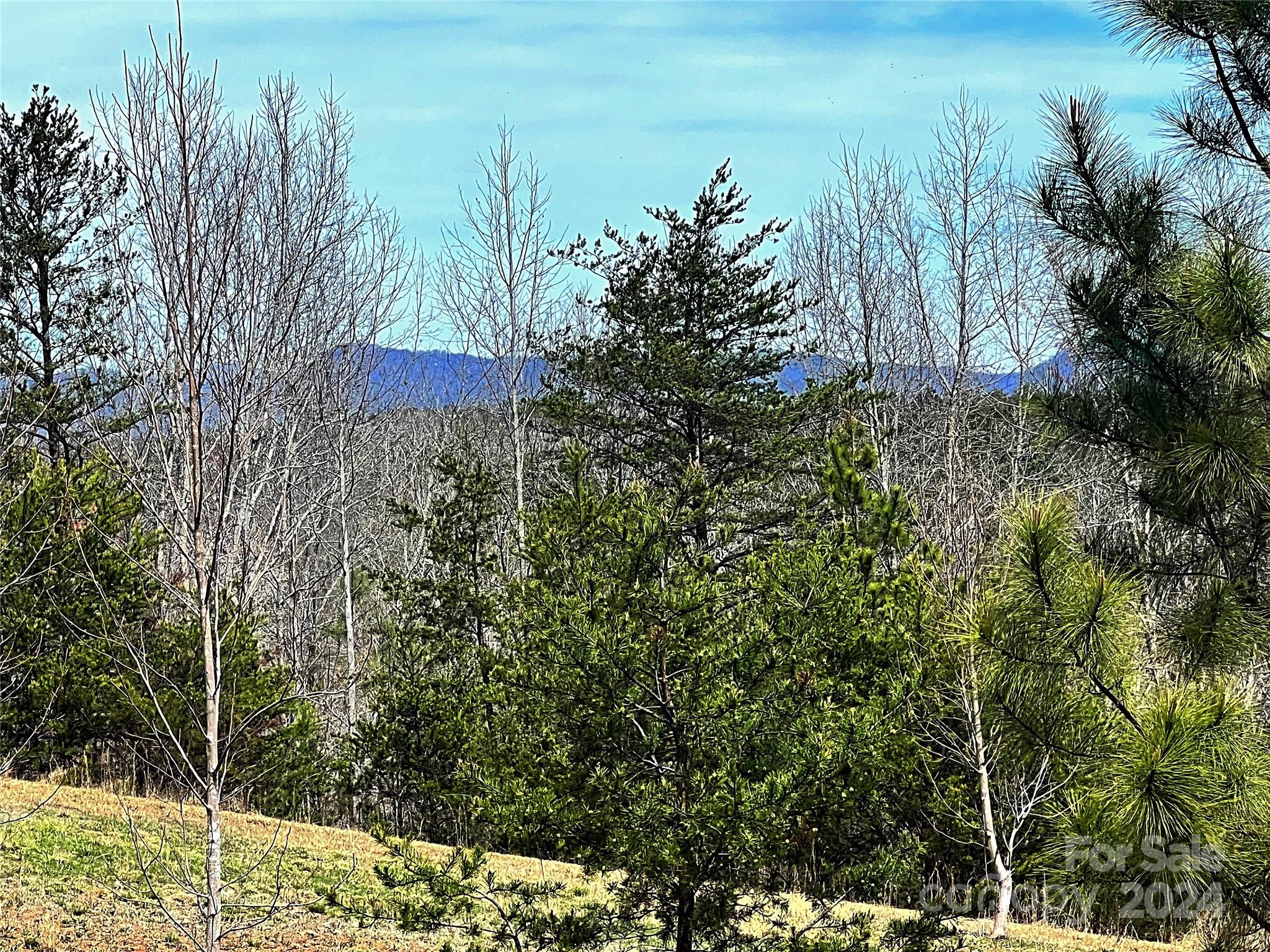 V/l Hickory Loop Road, Unit 5 Rutherfordton, NC 28139 - Photo 3 of 34 a view of a yard