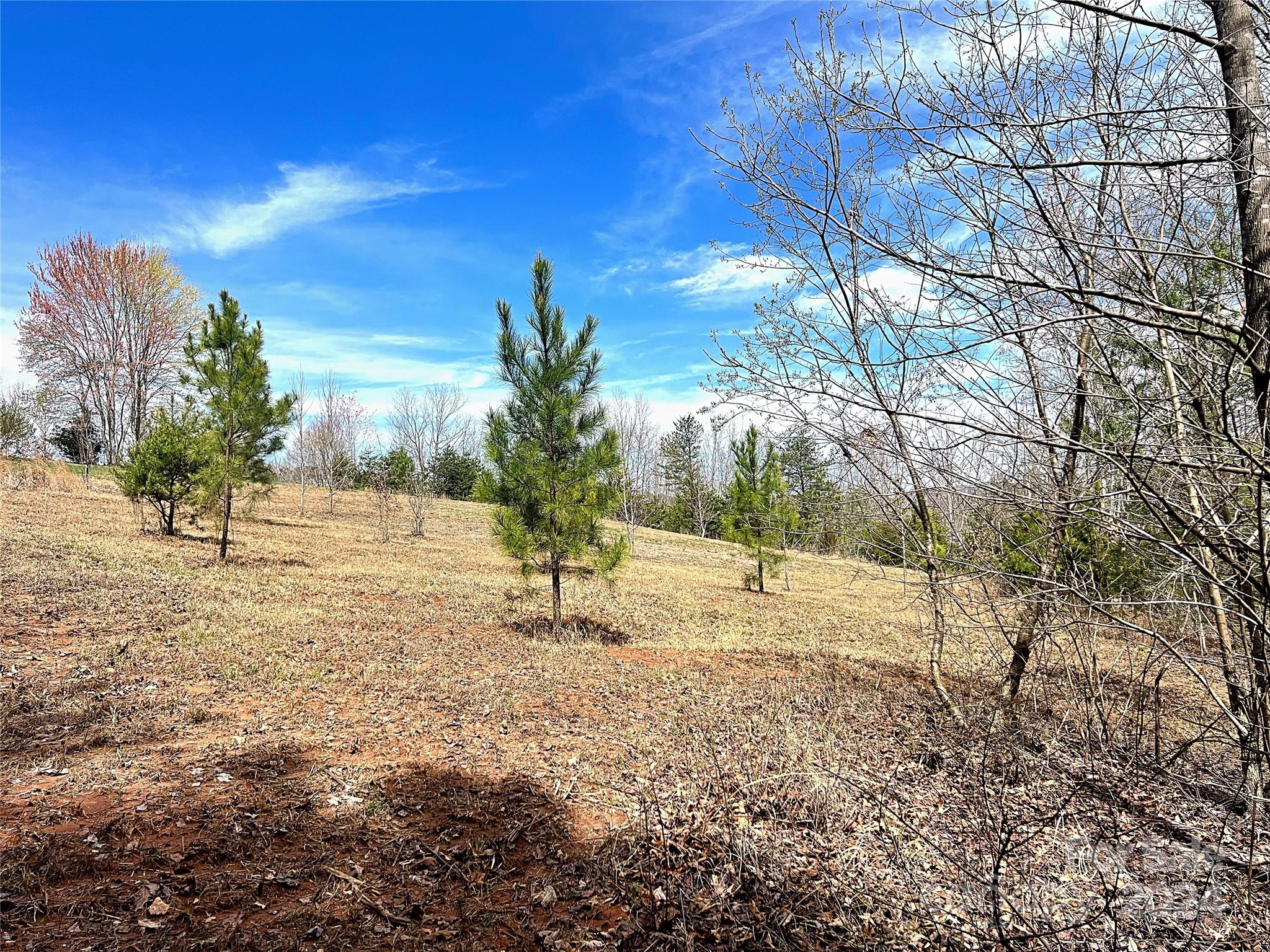 V/l Hickory Loop Road, Unit 5 Rutherfordton, NC 28139 - Photo 33 of 34 a view of empty space and yard