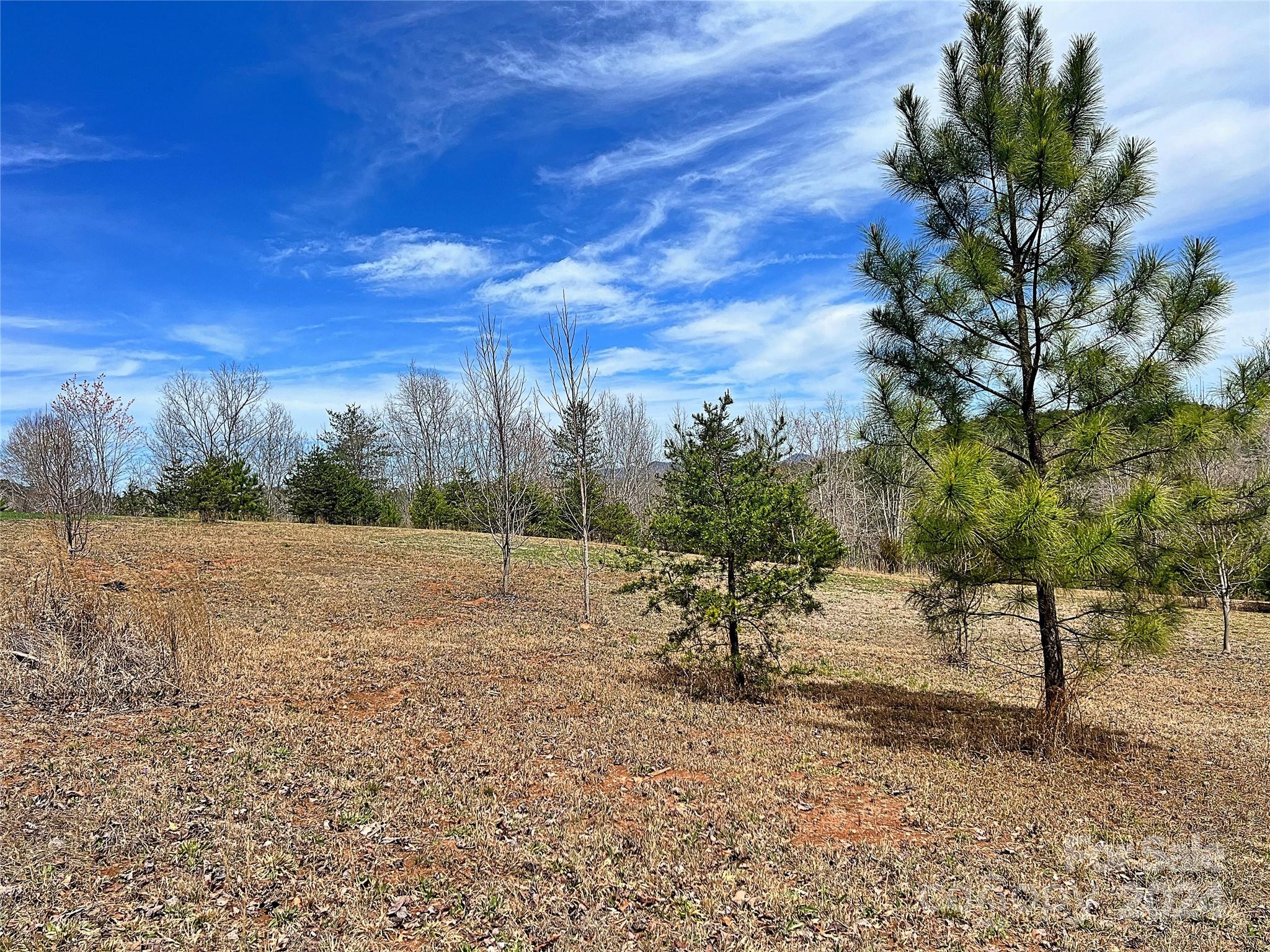V/l Hickory Loop Road, Unit 5 Rutherfordton, NC 28139 - Photo 4 of 34 a view of outdoor space with trees