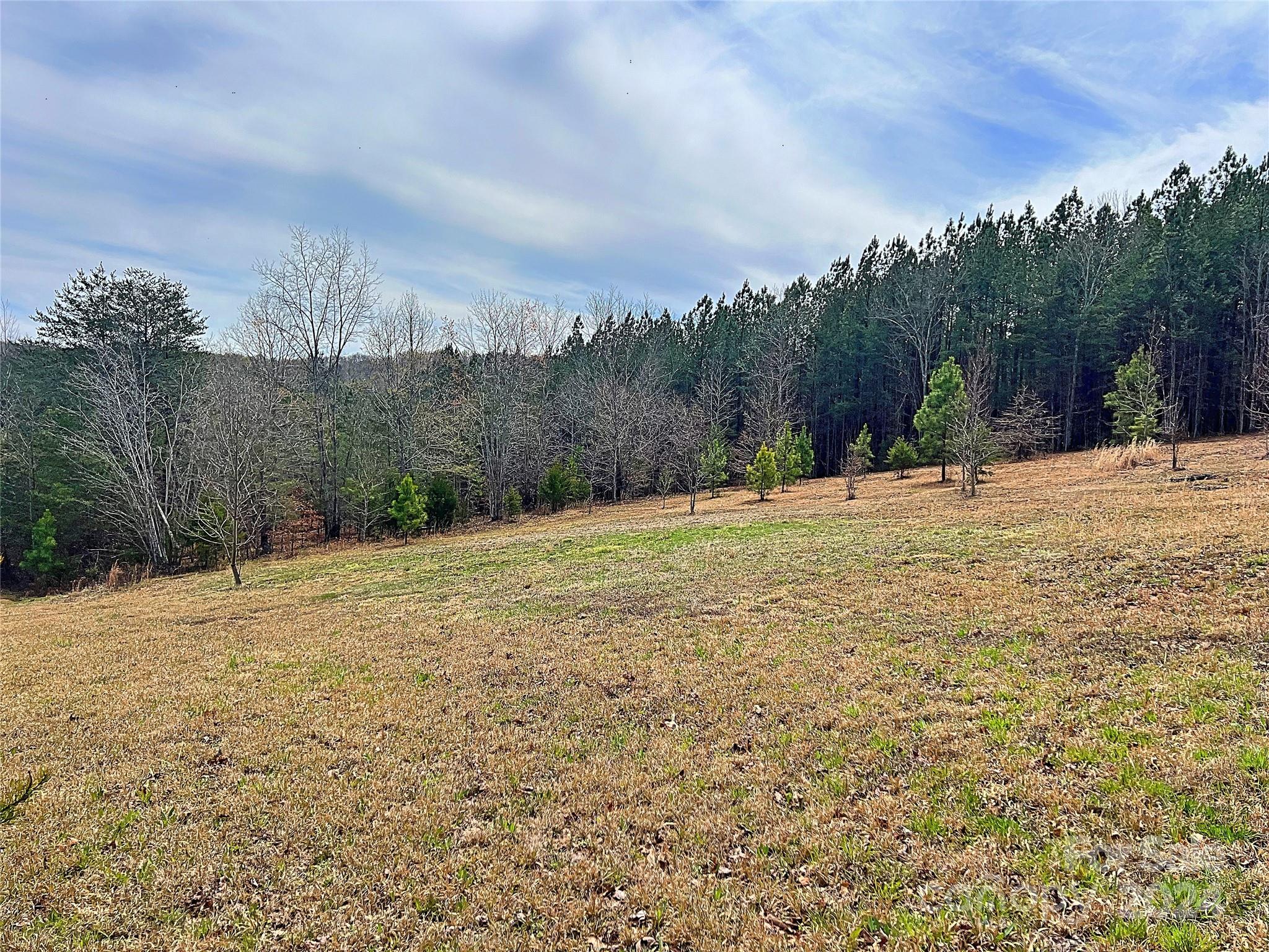 V/l Hickory Loop Road, Unit 5 Rutherfordton, NC 28139 - Photo 8 of 34 a backyard of a house with large trees