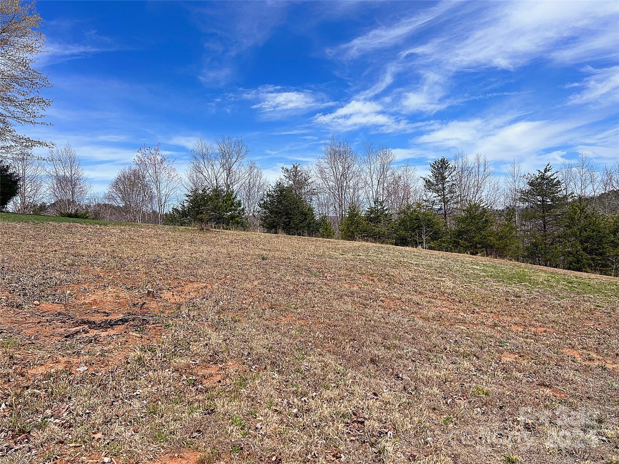 V/l Hickory Loop Road, Unit 5 Rutherfordton, NC 28139 - Photo 9 of 34 a view of a field with an trees