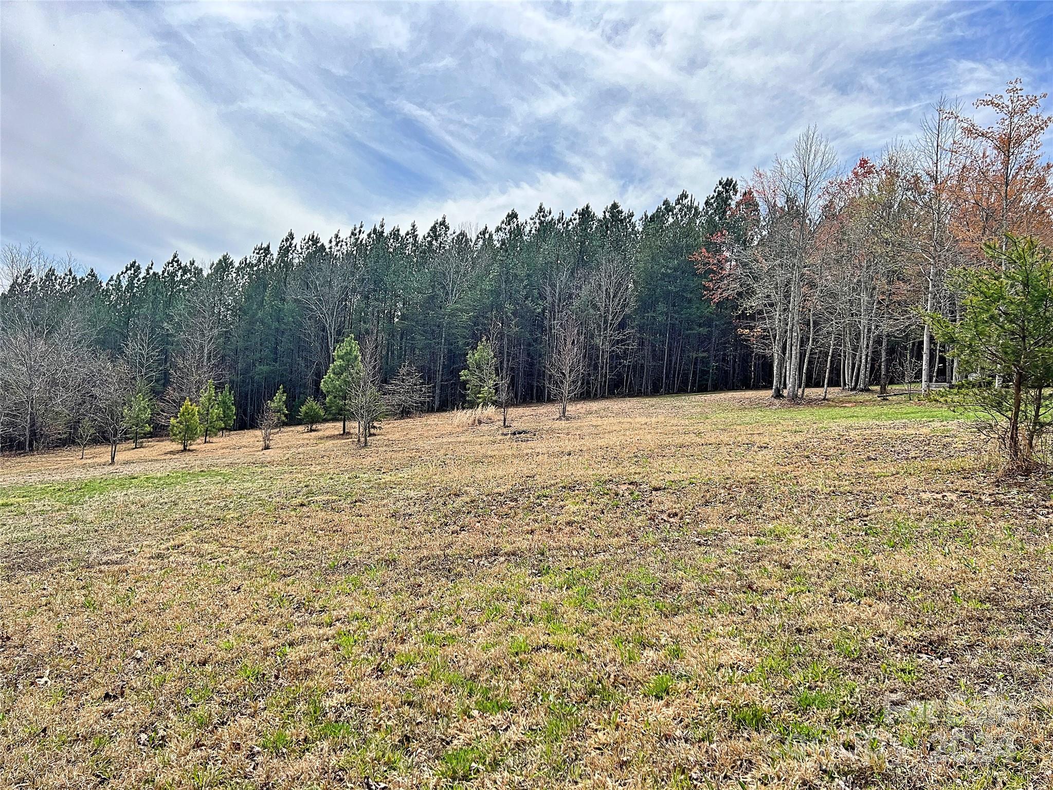 V/l Hickory Loop Road, Unit 5 Rutherfordton, NC 28139 - Photo 10 of 34 a large tree is standing in the middle of a field