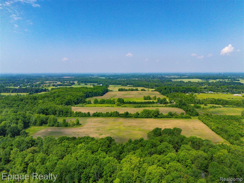 0 Jeddo Road Yale, MI 48097 - Photo 6 of 21