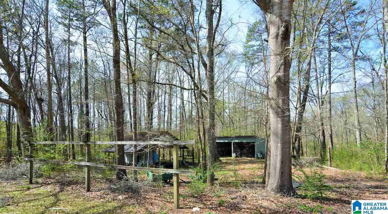 935 Jones Road Ohatchee, AL 36271 - Photo 40 of 47