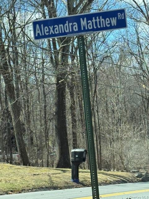 11 Alexandra Matthews Road, Unit A Wallkill, NY 12589 - Photo 3 of 43 Gallery Image 3