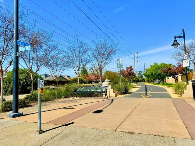 a view of a yard with plants