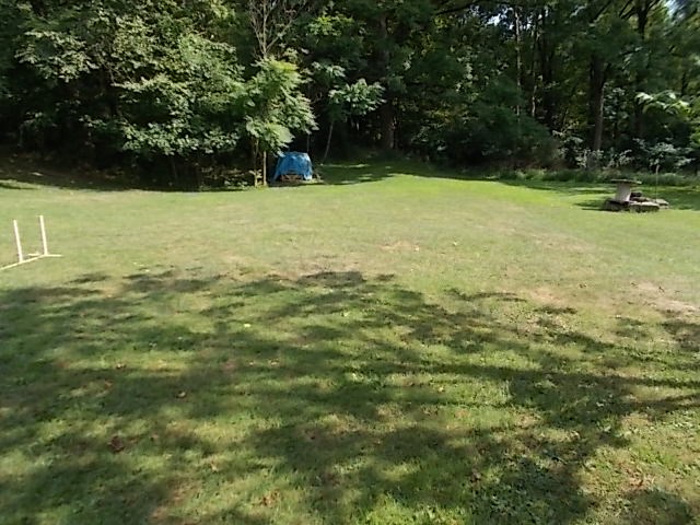 720 Grove Street Emlenton, PA 16373 - Photo 4 of 18 a view of a yard with a trees