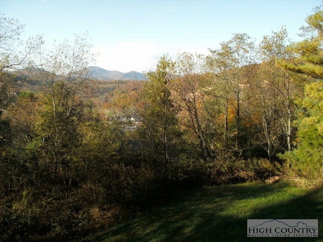 1407 Ravens Ridge Circle Boone, NC 28607 - Photo 2 of 15 Gallery Image 2