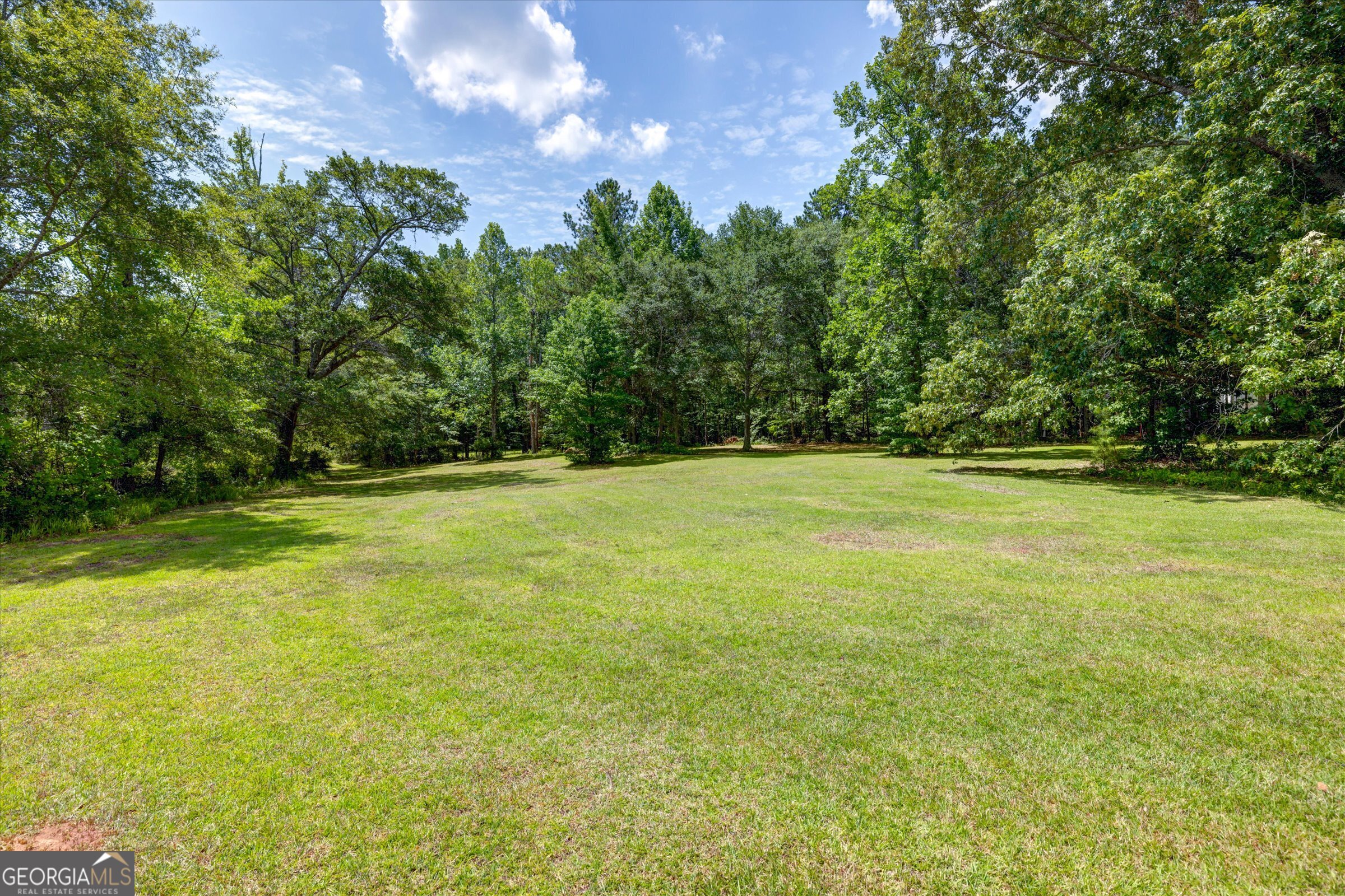 424 Hampton Road Hampton, GA 30228 - Photo 39 of 44 a view of a field with trees in the background