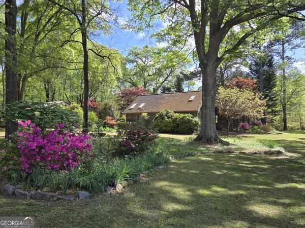 a view of a tree in front of a house with a yard