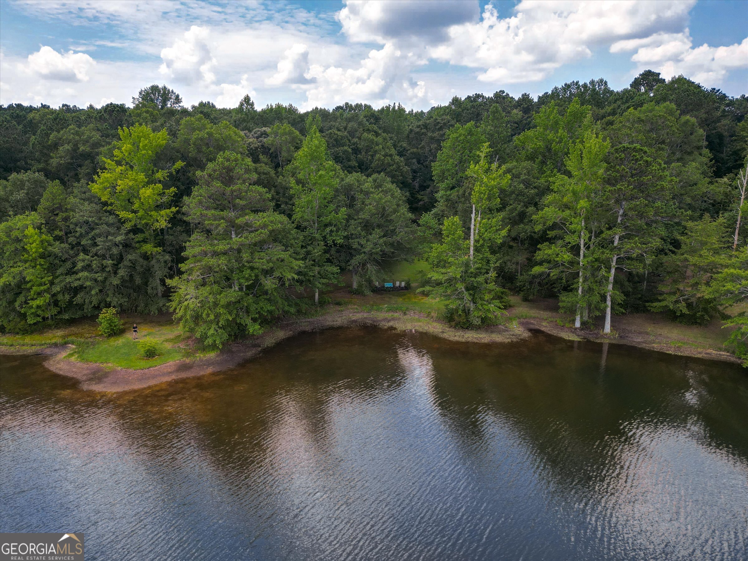 424 Hampton Road Hampton, GA 30228 - Photo 41 of 44 a view of a lake with green space