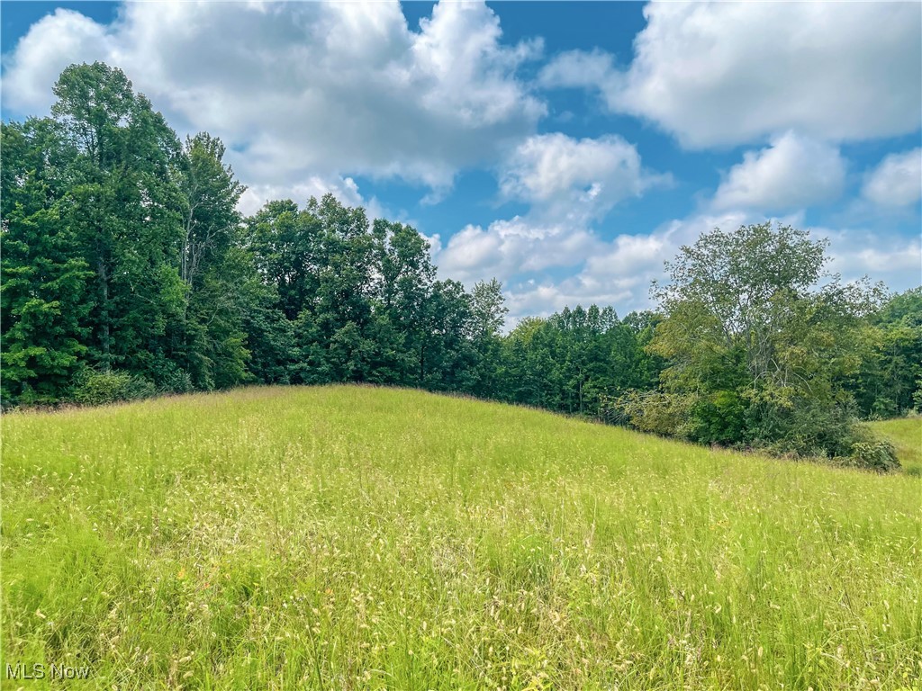 226 Banner Hill Road Spencer, WV 25276 - Photo 2 of 35