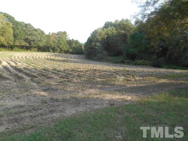8040 Panther Lake Road Willow Spring, NC 27592 - Photo 14 of 14 a view of a field with trees in background