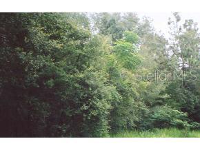 0 West Highway 318 Citra, FL 32113 - Photo 1 of 1 Primary Photo