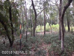 223 George Way Interlachen, FL 32148 - Photo 4 of 6 IMG_2758