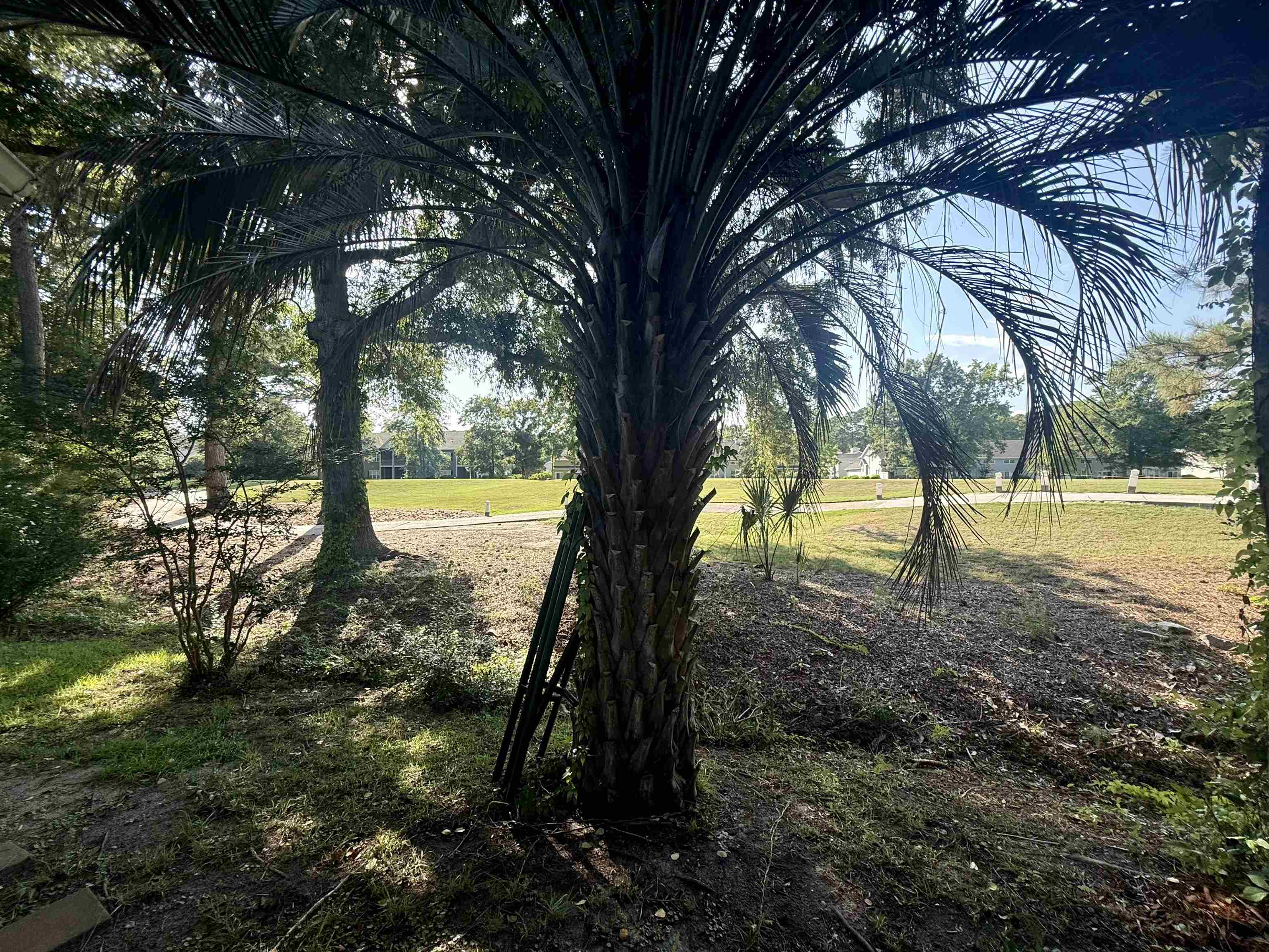 3610 Fire Ring Court Myrtle Beach, SC 29579 - Photo 15 of 16