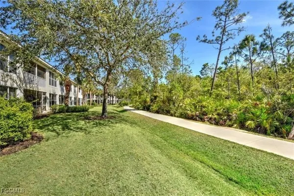 a view of a yard with plants and large trees