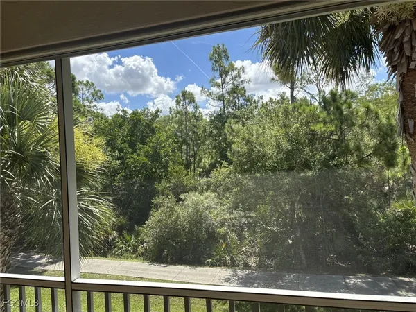 a view of a yard from a window