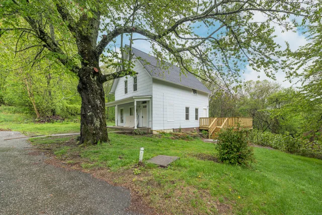 a backyard of a house with plants and large tree