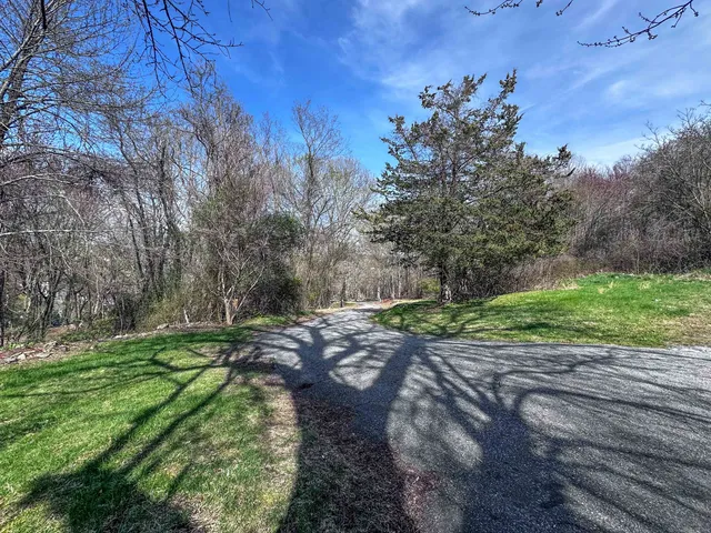 a view of a yard with large trees