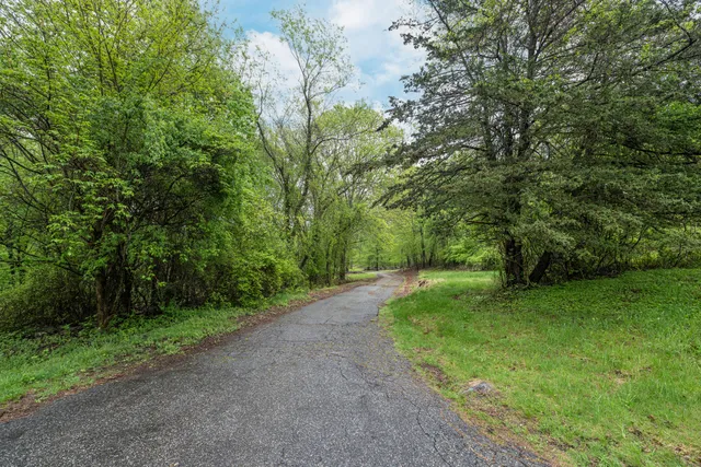 a view of a yard with a trees