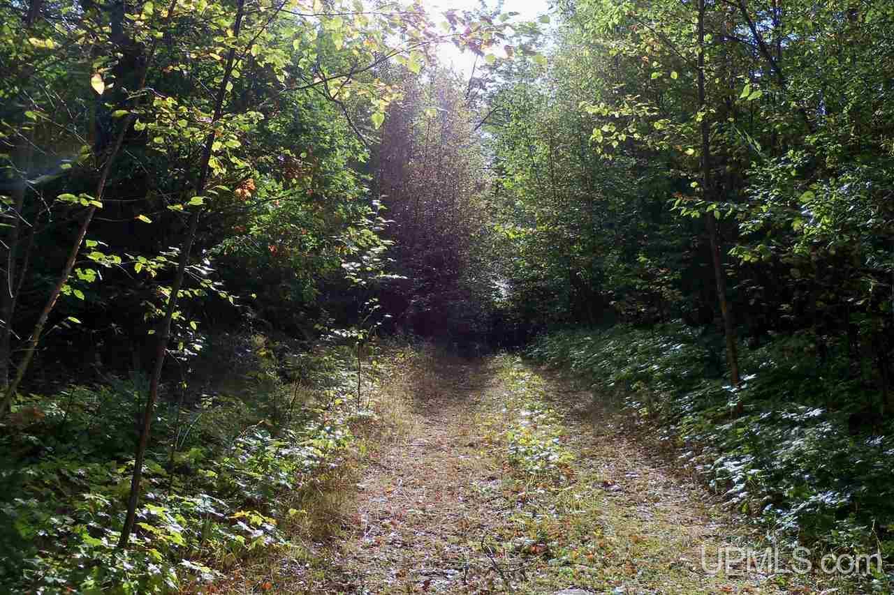 26 Co Road Negaunee, MI 49866 - Photo 17 of 31