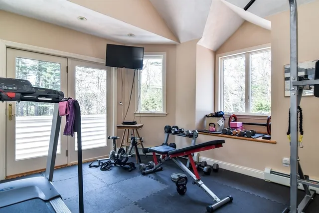 a view of a big yard with plants and large trees