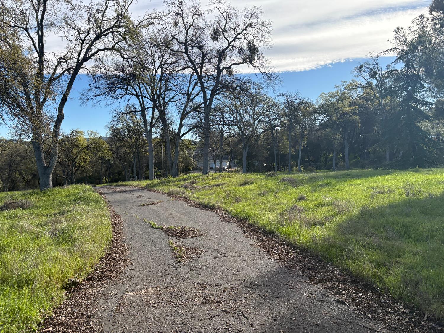 4141 Red Hill Road Vallecito, CA 95222 - Photo 2 of 3 Driveway