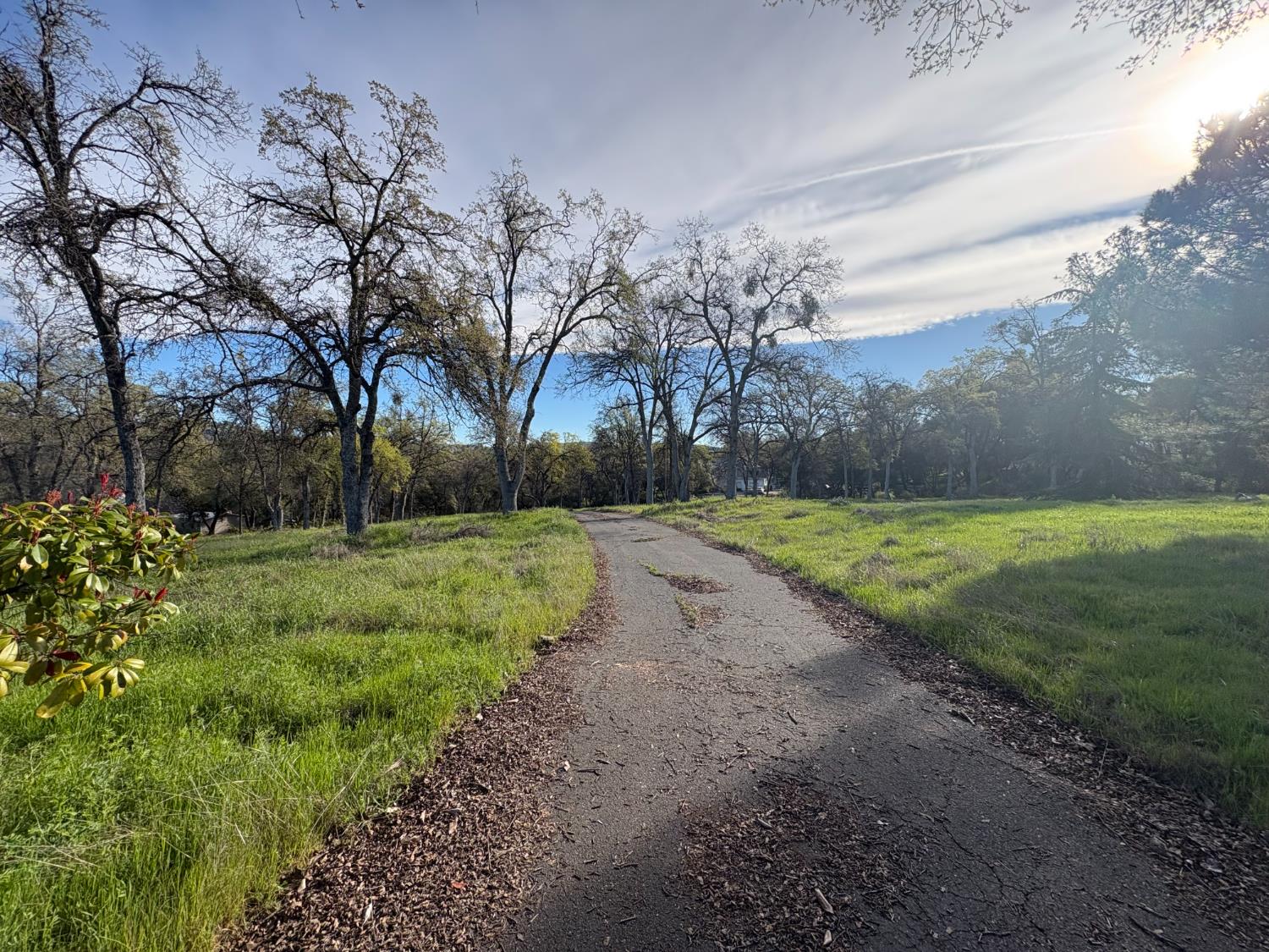 4141 Red Hill Road Vallecito, CA 95222 - Photo 3 of 3 Private Driveway