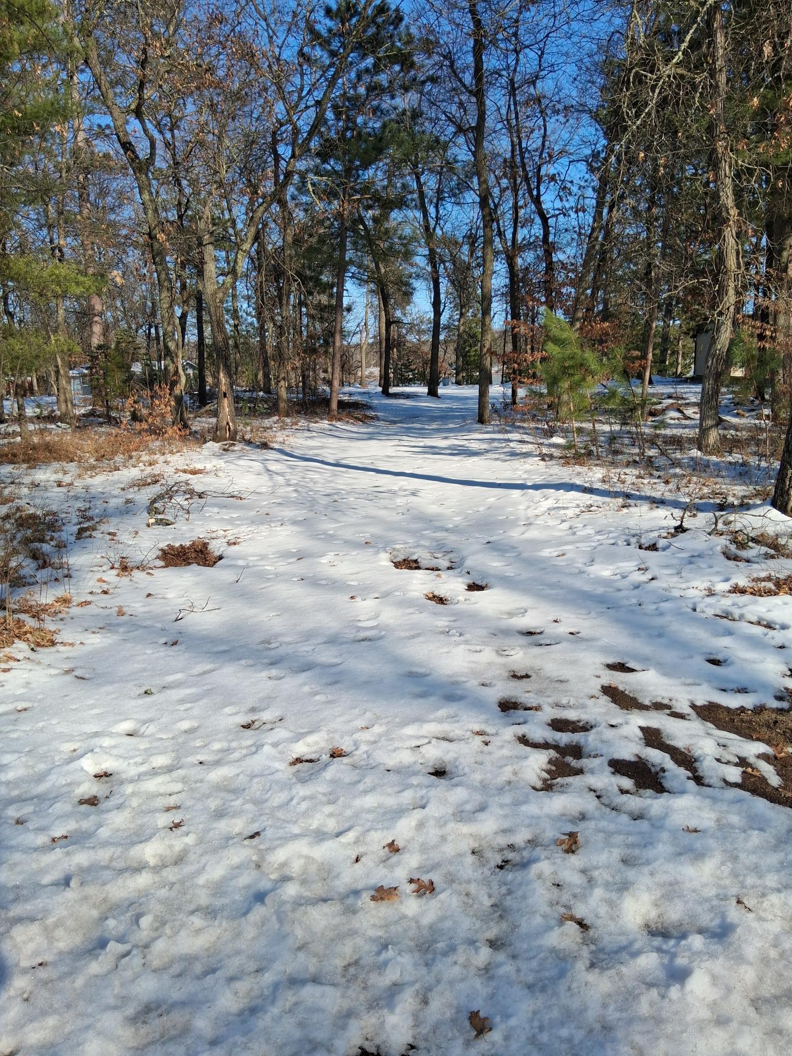 13946 Hardy Lake Road Southwest Pillager, MN 56473 - Photo 4 of 8