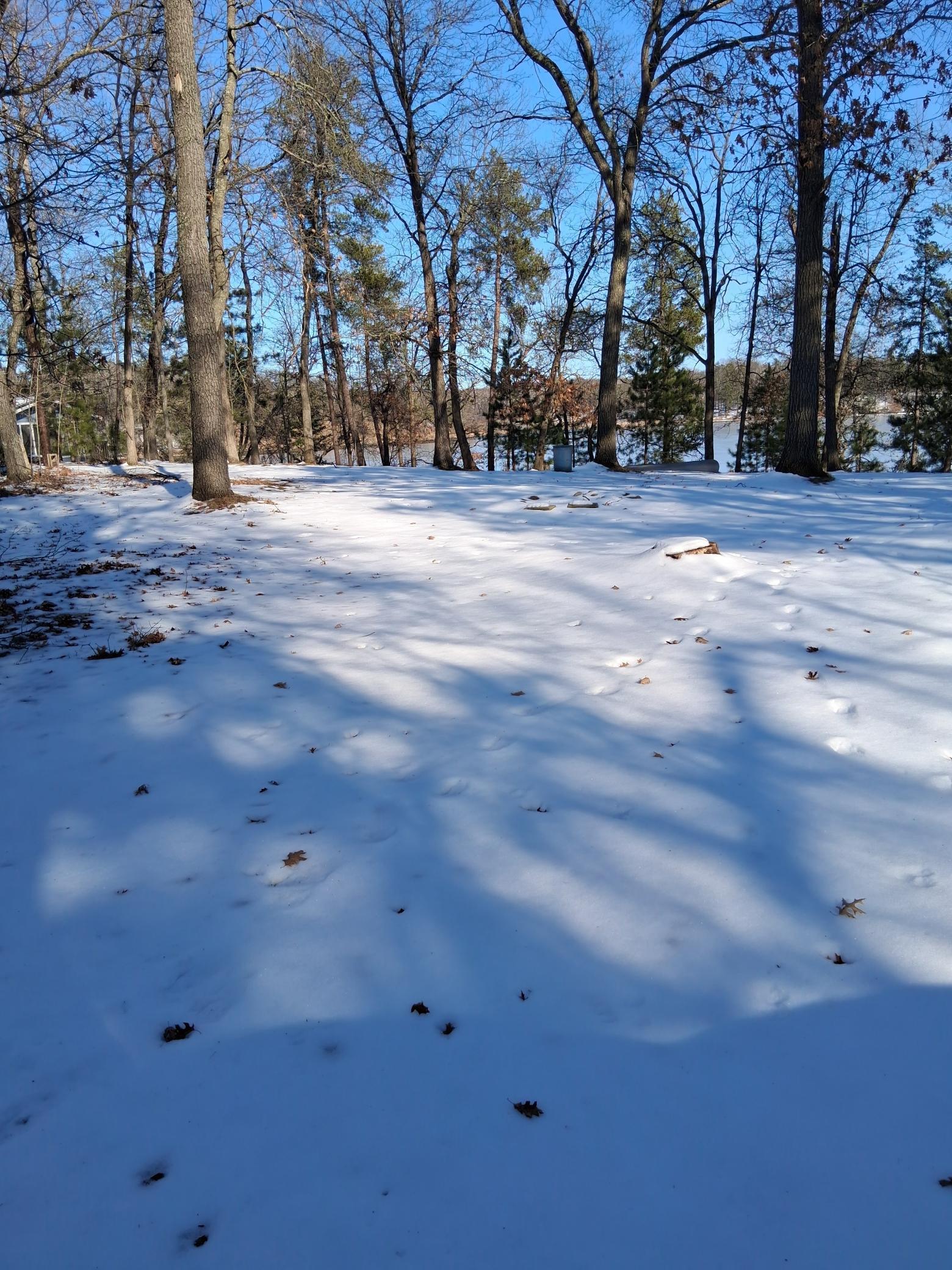 13946 Hardy Lake Road Southwest Pillager, MN 56473 - Photo 5 of 8