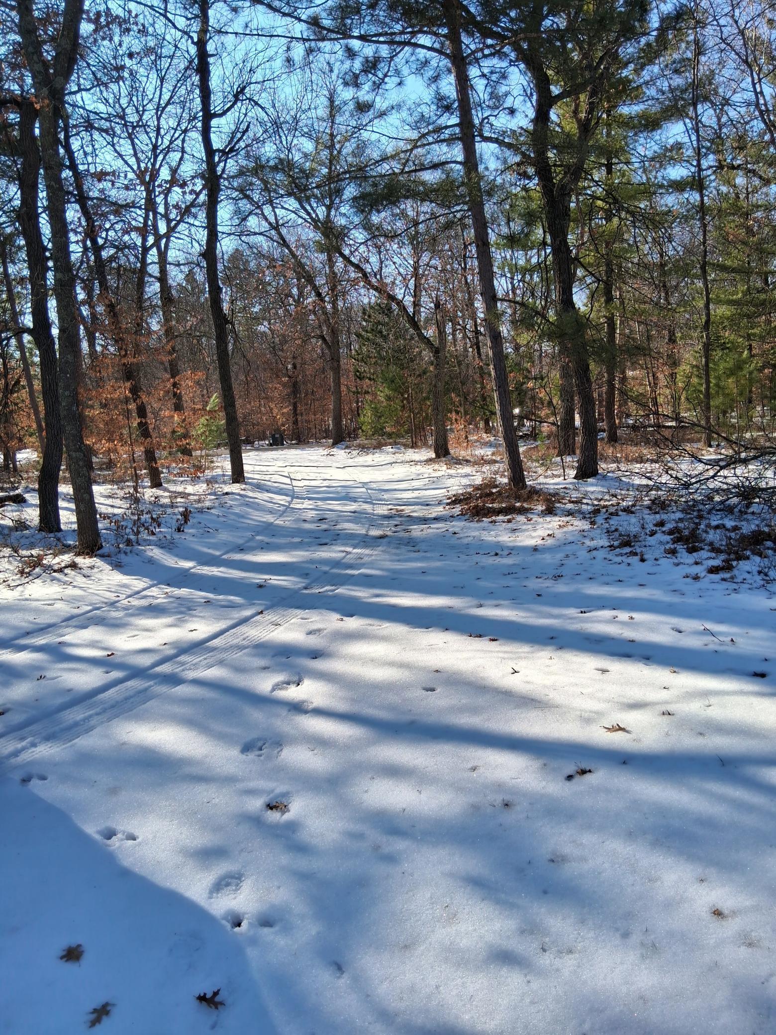 13946 Hardy Lake Road Southwest Pillager, MN 56473 - Photo 6 of 8