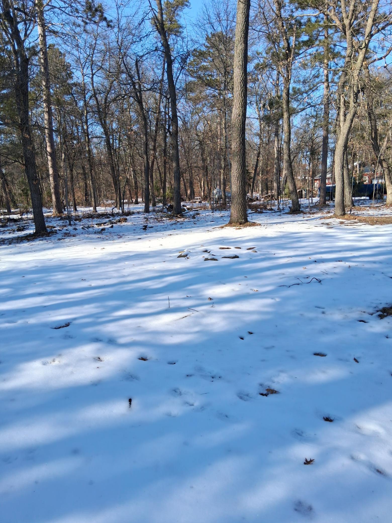 13946 Hardy Lake Road Southwest Pillager, MN 56473 - Photo 7 of 8