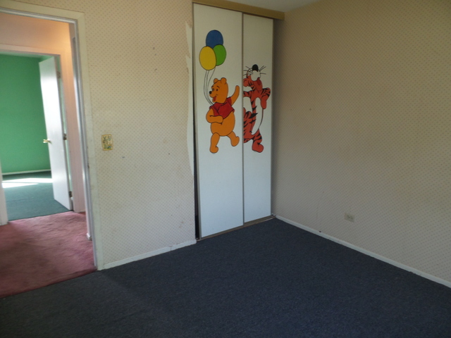 176 Grady Drive Bolingbrook, IL 60440 - Photo 22 of 30 an empty room with painting on the wall and a potted plant