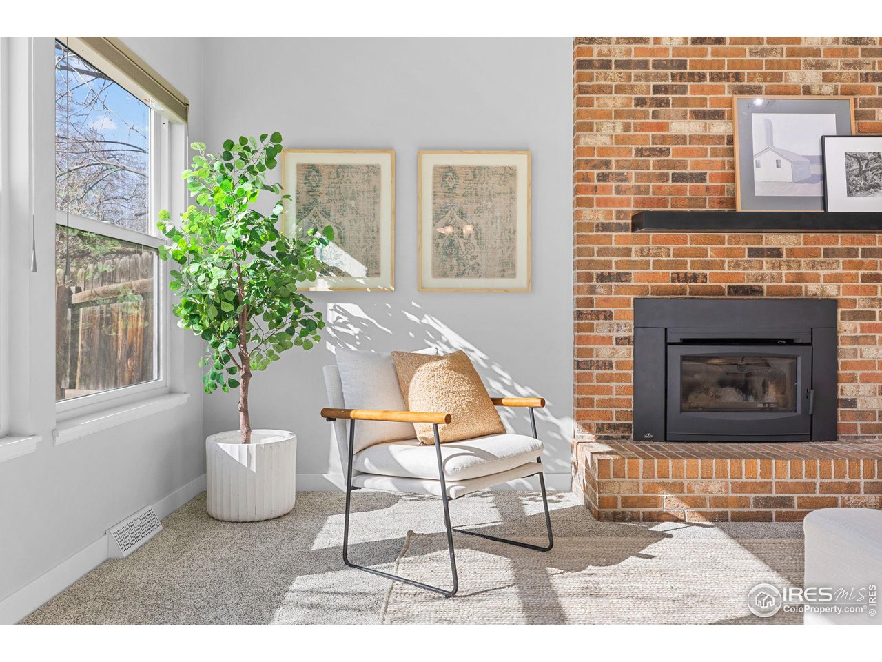 4302 Apple Way Boulder, CO 80301 - Photo 11 of 38 a living room with a couch and a potted plant