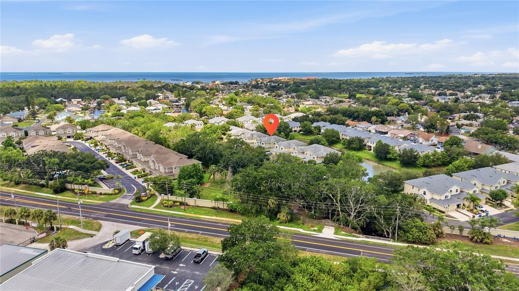 497 Harbor Ridge Drive Palm Harbor, FL 34683 - Photo 51 of 52